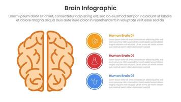 humano cerebro infografía modelo bandera con parte superior ver y circulo apilar descripción con 3 punto lista información para diapositiva presentación vector