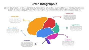 humano cerebro infografía modelo bandera con cerebro partes y línea punto descripción con 6 6 punto lista información para diapositiva presentación vector