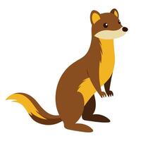 pine marten is standing upright on white background vector