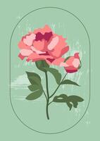 Pink peony with line frame on a vintage textured green background. Floral illustration for greeting cards, wedding invitations, social media and more design vector