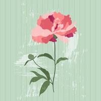 Pink peony on a vintage textured green background. Floral illustration for greeting cards, wedding invitations, social media and more design vector