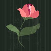 Pink rose on a vintage textured dark green background. Floral illustration for greeting cards, wedding invitations, social media and more design vector