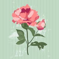 Pink peony witn bud on a vintage textured green background. Floral illustration for greeting cards, wedding invitations, social media and more design vector