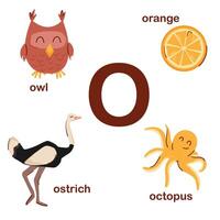 Preschool english alphabet. O letter. Owl, ostrich, octopus, orange. Alphabet design in a colorful style. Educational poster for children. Play and learn. vector