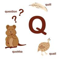 preescolar Inglés alfabeto. q carta. quokka, codorniz, pluma, pregunta. alfabeto diseño en un vistoso estilo. educativo póster para niños. jugar y aprender. vector