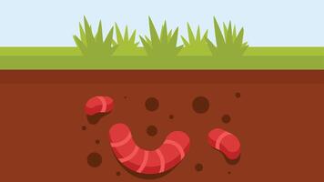 earth soil worms illustration vector