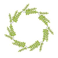 wreath of leaves with branches. Decorative frame. Template for a postcard. Green circle of leaves. Spring and summer holiday invitation concept. vector