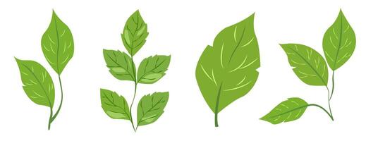 verde hojas. cada hoja vitrinas único formas y vena patrones. gráfico es simple, limpio, y vibrante, ideal para con temas de la naturaleza diseños y Respetuoso del medio ambiente proyectos vector