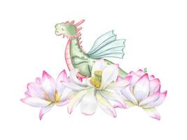Green Dragon standing in triangle pose among blooming water lilies. Animal practicing yoga exercises. Floral composition. Delicate three lotus flowers. Watercolor illustration for design, postcards vector