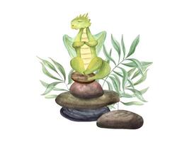 Meditating dragon standing on balancing stones. Animal among pebbles and green plants. Stack of sea stones. Animal practicing yoga exercises in nature. Watercolor illustration. For yoga, spa center vector