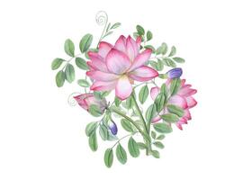 Bouquet of blue clitoria ternatea and lotus. Blooming flowers, green leaves. Waterlilies, wisteria. Bud, flower, leaf, stem. Watercolor illustration for greetings label design vector