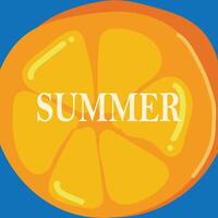 Orange fruit summer benner vector