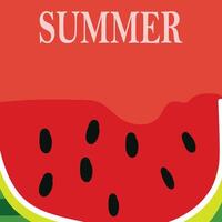 Watermelon summer fruit background vector