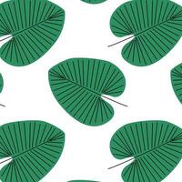 Pattern of tropical and palm leaves. Silhouettes green branches, leaves in minimalist flat style. Exotic summer background with leaves on white background. Print for gift wrapping, fabric, textile vector