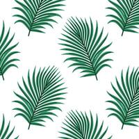 Pattern of tropical and palm leaves. Silhouettes green branches, leaves in minimalist flat style. Exotic summer background with leaves on white background. Print for gift wrapping, fabric, textile vector