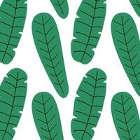 Pattern of tropical and palm leaves. Silhouettes green branches, leaves in minimalist flat style. Exotic summer background with leaves on white background. Print for gift wrapping, fabric, textile vector