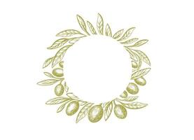 Olive circle pattern. Green branch, texture leaves vector