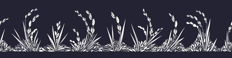 White rice grain. field Seamless art border vector