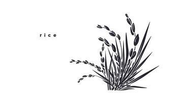 Rice plant, grains. landscape silhouette vector