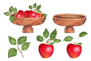 Set with wooden bowl and red apples with green leaves. Natural fruits.Organic, local, seasonal fruits and harvesting concept. Botanical works of art. Watercolor and markers. Hand drawn isolated art vector