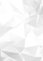abstract background with a low poly monochrome background design vector