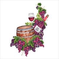 Red wine glass with bottle and wooden barrel. Design element with bunches of grapes for wine tasting invites, winery cards and menus. Hand drawn watercolor illustration isolated on white background vector