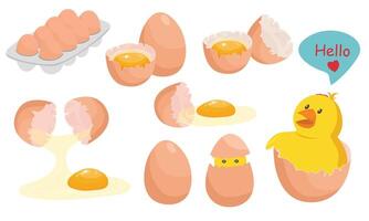 Egg set. Flat in cartoon style isolated on white background. vector