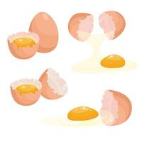 Egg set. Flat in cartoon style isolated on white background. vector