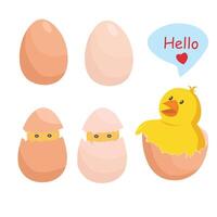 Egg set. Flat in cartoon style isolated on white background. vector