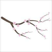 Sakura branch isolated on a white background. Blooming cherry blossom vector