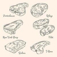 A set of hand-drawn sketches of different types of meat, steaks. Doodle vintage illustration. Engraved image. vector