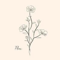 Flax plant colorful flowers, branches and seed of flax isolated on white background. illustration botanical. Vintage engraving style. vector