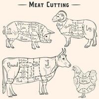 Pork, beef, lamb and chicken cuts - hand drawn set. scheme of meat cutting in vintage style vector