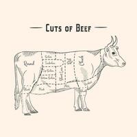 Cartoon Beef Meat Cuts Line Art vector