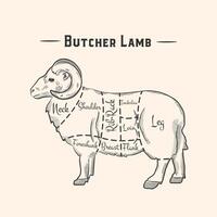 British cuts of lamb or mutton diagram vector