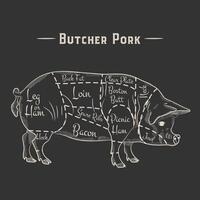 pig, pork cuts. template menu design for restaurant or cafe. vector