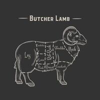 Cut of beef set. Poster Butcher diagram and scheme - Lamb. Vintage typographic hand-drawn on a black chalkboard background. illustration vector