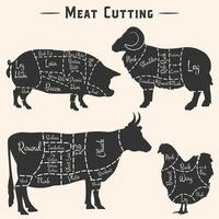 Chunks of meat - chicken, pork, beef and lamb. silhouettes of animal cutting vector
