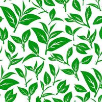 green leaves pattern background. Green tea leaf seamless pattern. tea leaves pattern background. seamless patterns with green leaves of tea. vector