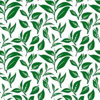 green leaves pattern background. Green tea leaf seamless pattern. tea leaves pattern background. seamless patterns with green leaves of tea. vector