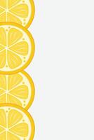 Fresh lemon frame. Fruit citrus lemons border vector