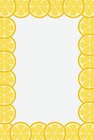 Fresh lemon frame. Fruit citrus lemons border vector