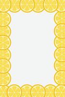 Fresh lemon frame. Fruit citrus lemons border vector