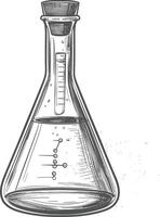 erlenmeyer flask tube laboratory glassware with engraving style black color only vector