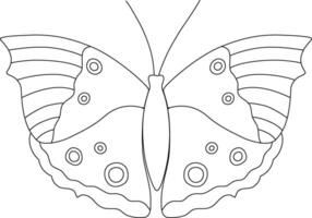 Butterfly line hand drawn illustration. Wildnature animal doodle. Ornate insects linear drawing for tattoo, coloring pages, print, logo. Editable stroke. vector