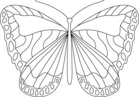 Butterfly line hand drawn illustration. Wildnature animal doodle. Ornate insects linear drawing for tattoo, coloring pages, print, logo. Editable stroke. vector