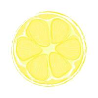 Hand drawn lemon slace. Single element isolated on white background. vector