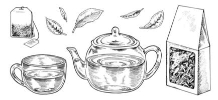 Tea Set Outline Illustration. Hand drawn graphic clipart of cup with pot and leaves. Black line art of tea bag and cardboard box of dried herbal drink. Drawing on isolated white background vector