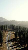 Aerial view on a winding road in summer day video