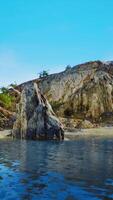 Summer view of sea caves and rock cliffs video